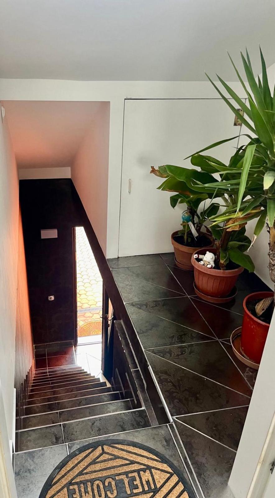 Chill Apartman Budakalász Extérieur photo